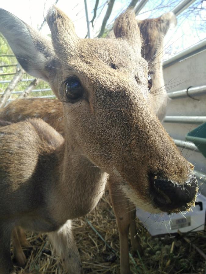 仁爱乡日初云来庄园住宿加早餐旅馆 外观 照片